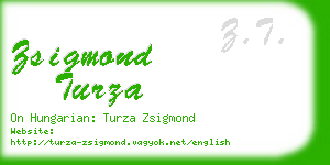 zsigmond turza business card